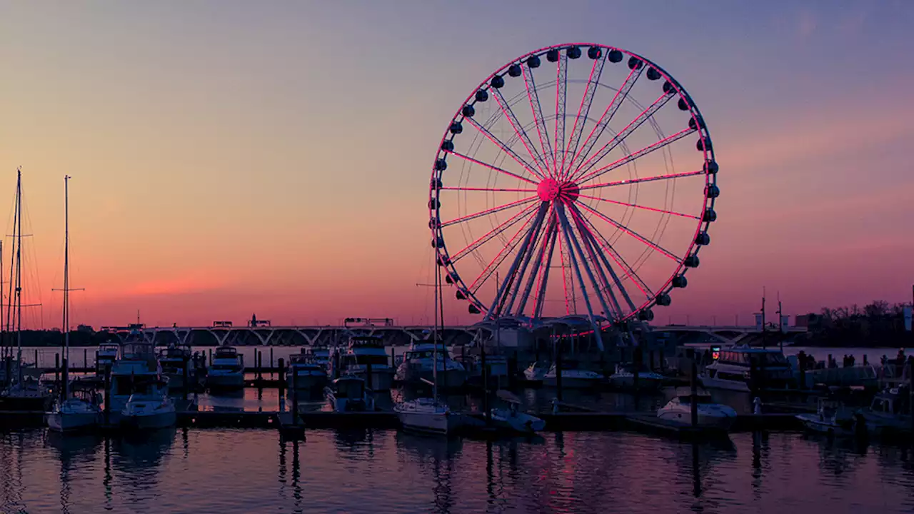 National Harbor is Pretty in (Cherry Blossom) Pink | Washingtonian (DC)