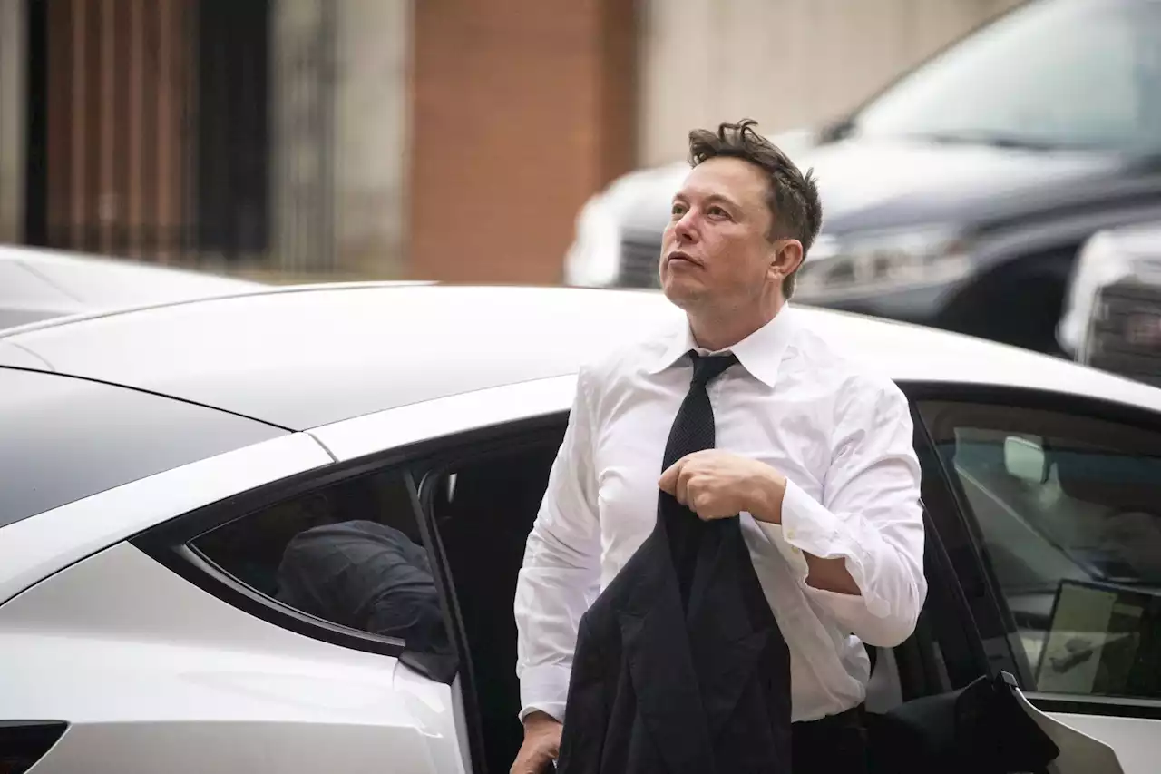 How auto regulators played mind games with Elon Musk