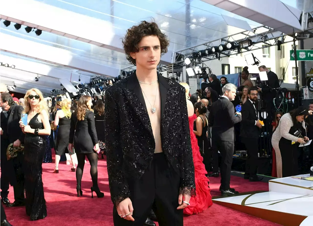 Timothée Chalamet Doesn't Need a Shirt for His Statement Oscars Suit