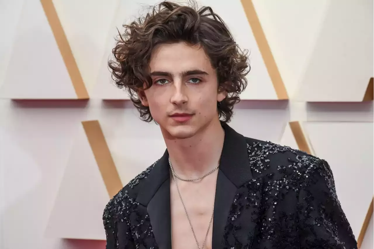 Timothée Chalamet Goes Shirtless in Louis Vuitton for 2022 Oscars ...