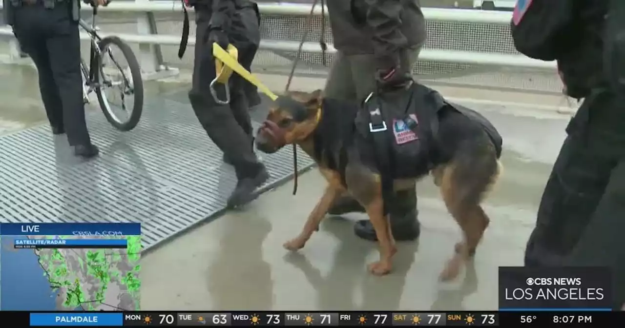 Firefighters rescue a woman, a man and a dog from fast-moving LA River