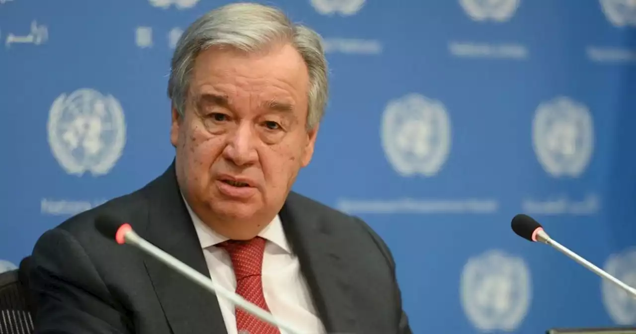 UN Chief Urges 'Immediate Humanitarian Cease-Fire' in Ukraine