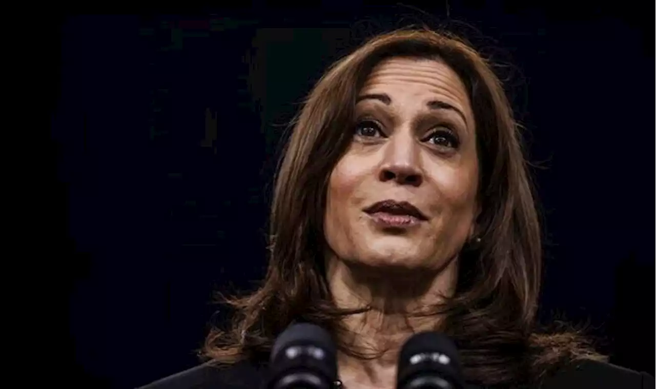 Kamala Harris blasted as polls show crushing new disapproval rates - 'An embarrassment'