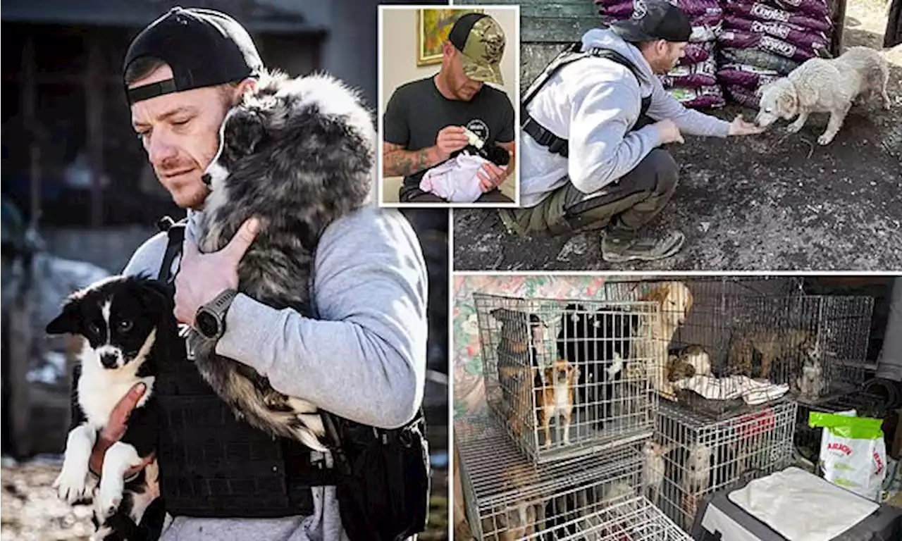 Meet the British army veteran saving abandoned pets in Ukraine