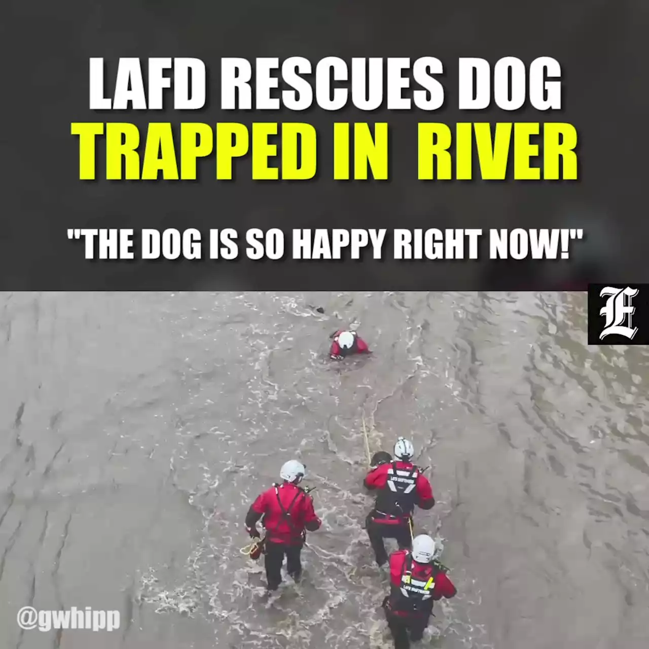 Dog travels miles down LA River before dramatic firefighter rescue