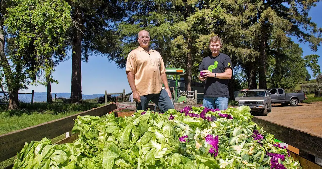 Going wild with fermented food: The tastiest what’s-old-is-new-again trend