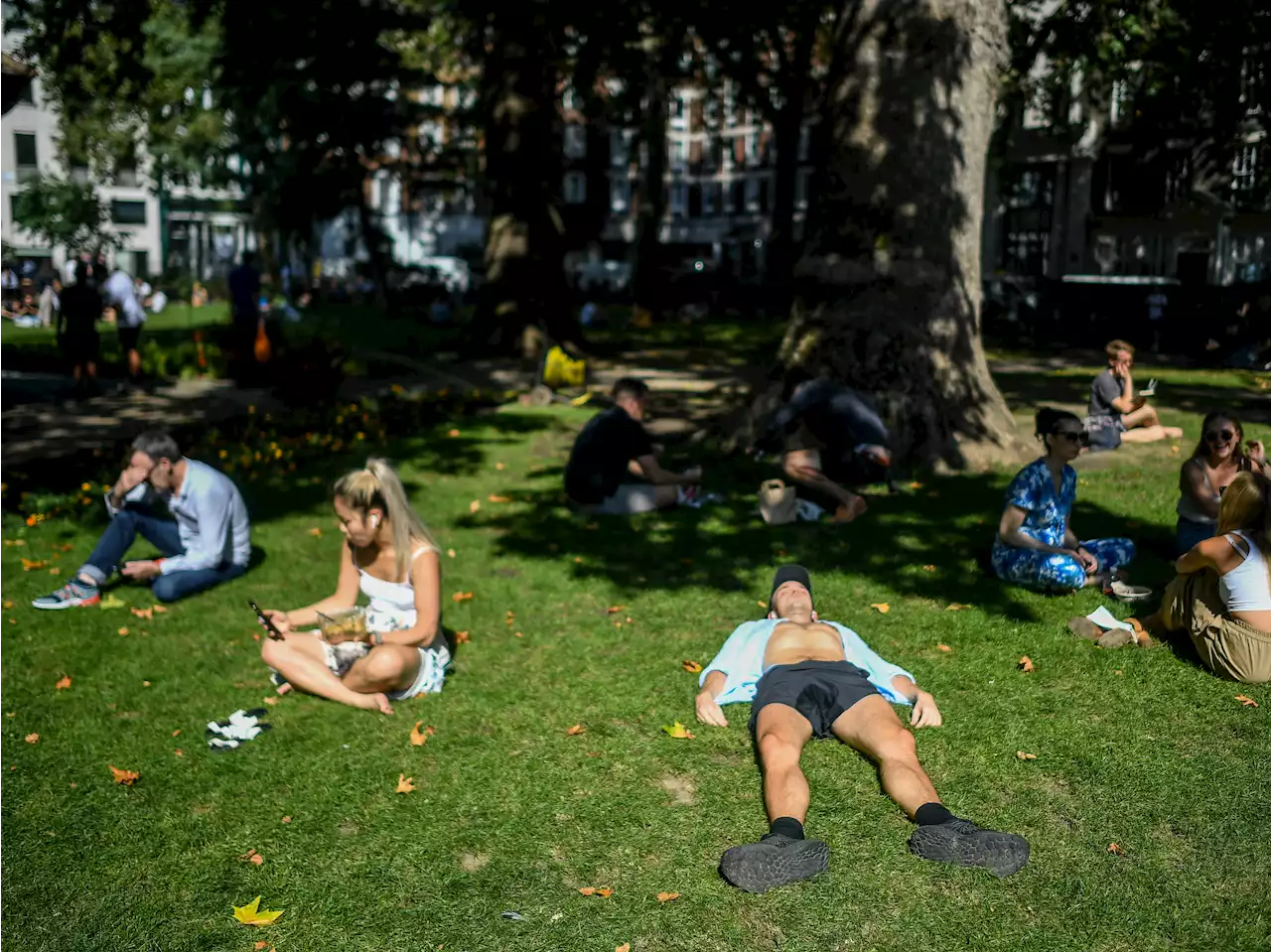 Heatwaves now need to be hotter as Met Office changes rules - but only in some areas