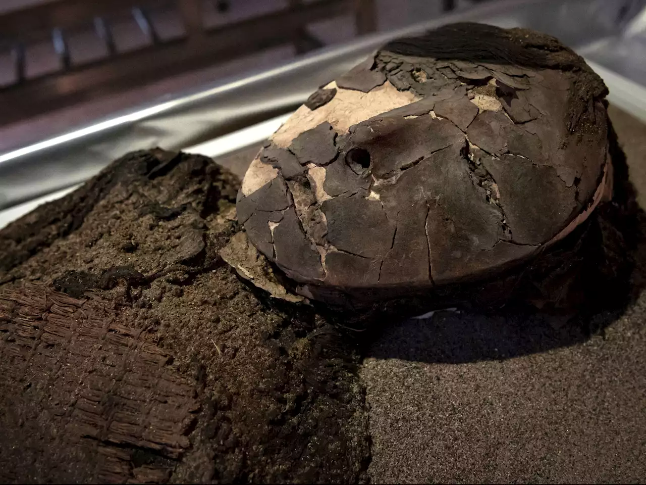 Scientists battle to keep mummies under the ground after ‘black goo’ threat