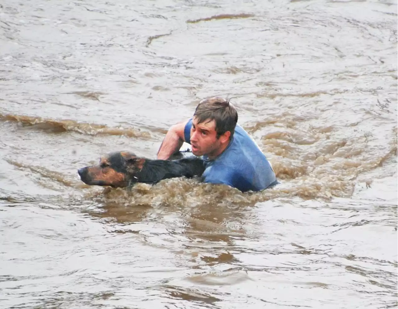 Woman, dog rescued from rain-swollen Los Angeles River