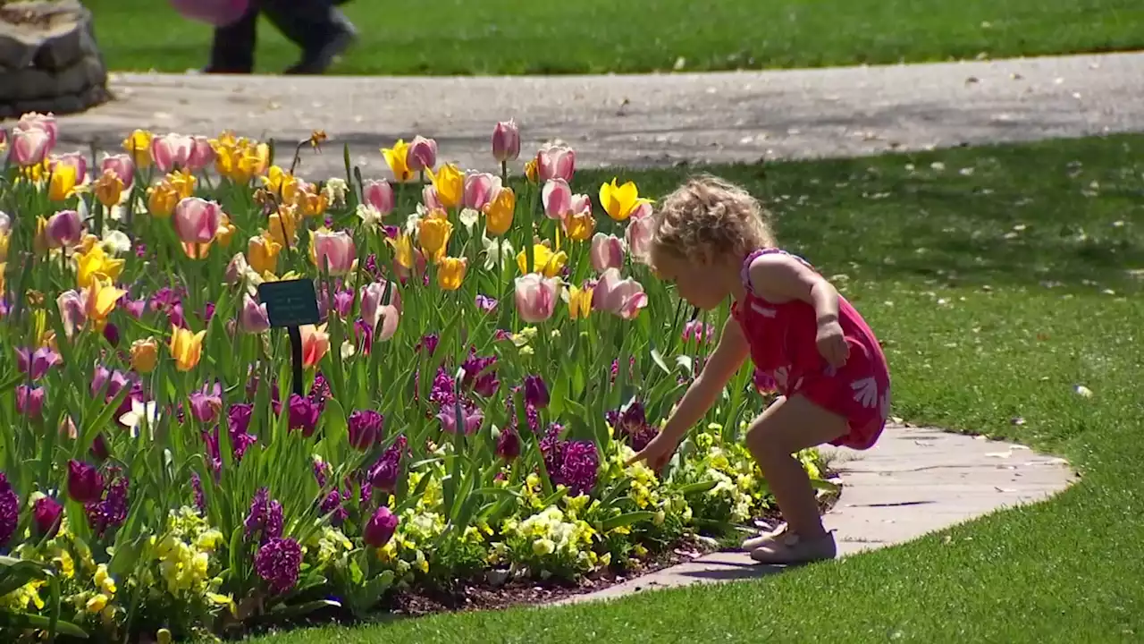 Dallas Arboretum Celebrates Annual 'Dallas Blooms'