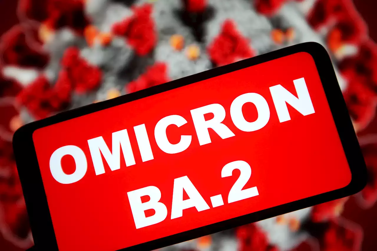 BA.2 Variant Now Accounts for 73% of COVID Cases in New England, CDC Says