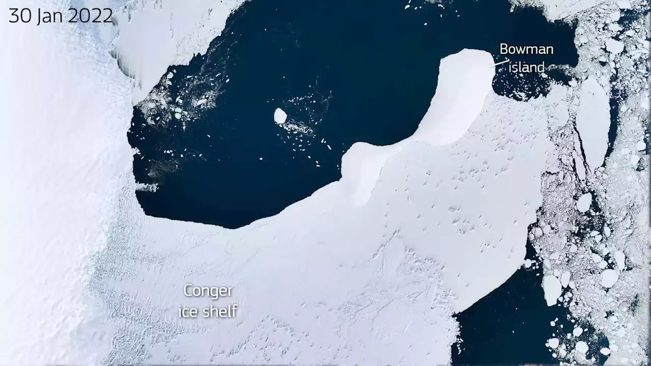 Ice shelf the size of New York City collapses in East Antarctica