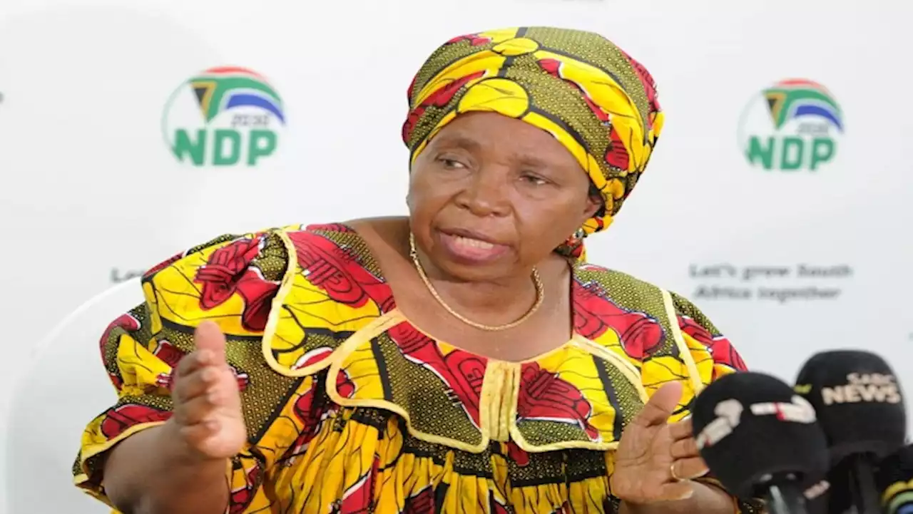 National State of Disaster likely to be lifted next week: Dlamini-Zuma - SABC News - Breaking news, special reports, world, business, sport coverage of all South African current events. Africa's news leader.