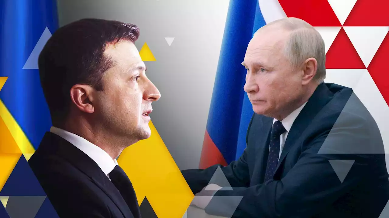 Ukraine war: Zelenskyy offers Vladimir Putin route to exit disastrous conflict - but will Russia's leader budge?