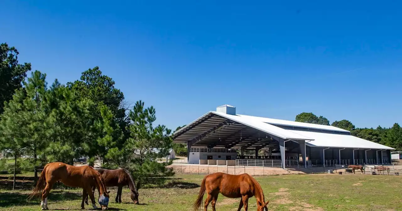 Child welfare monitors say there’s “ample evidence” kids were abused at Bastrop foster care facility, disputing Texas Rangers