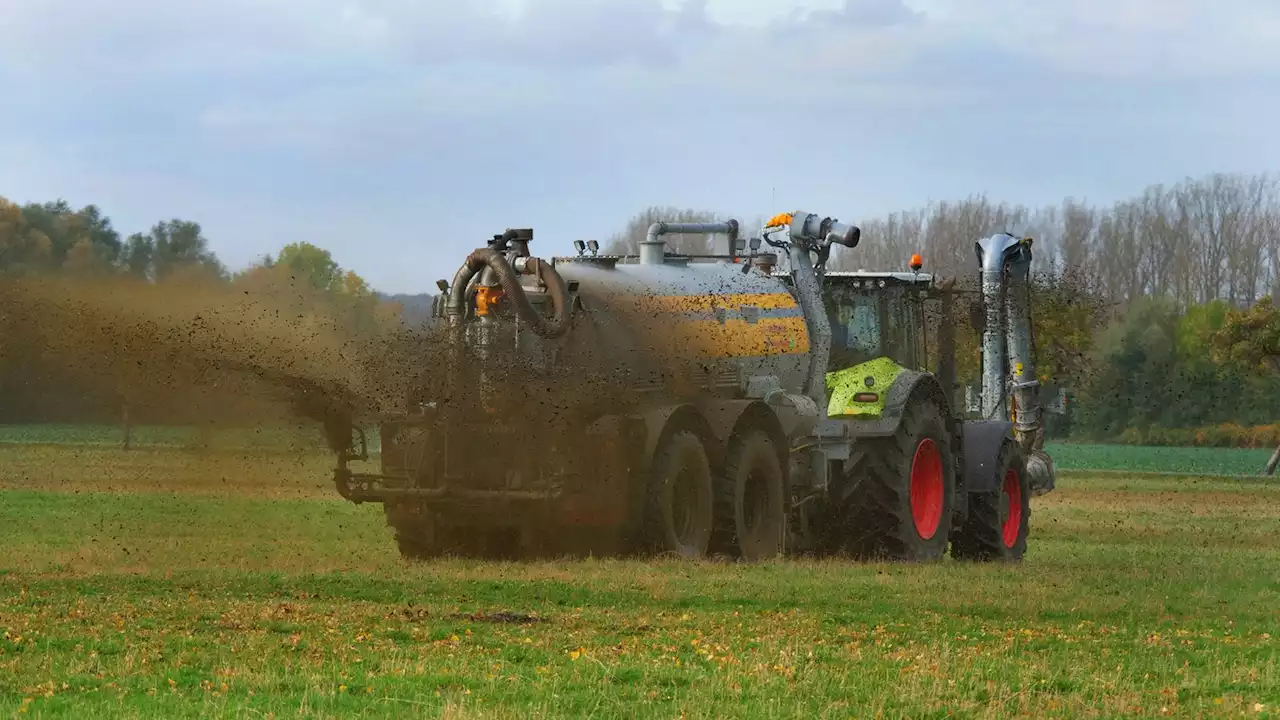 Landwirt aus dem Märkischen Kreis soll mit Gülle betrogen haben