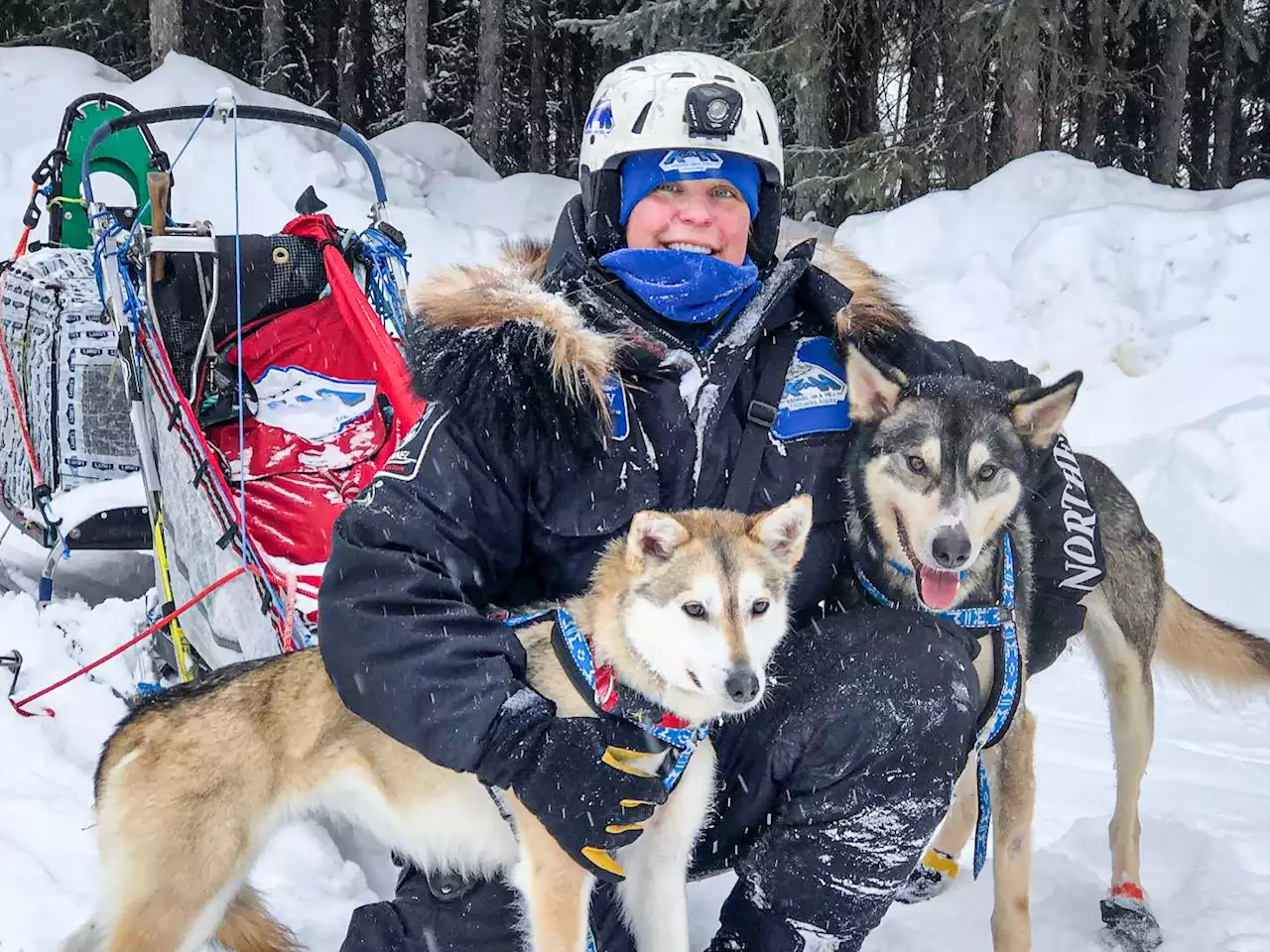 ‘He wanted death to occur’: Iditarod musher Bridgett Watkins recalls harrowing moose attack - Alaska Public Media