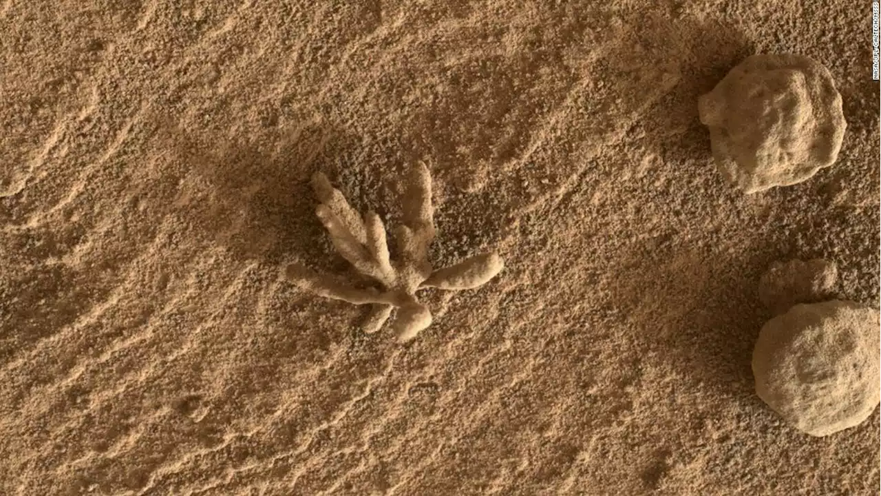Tiny 'flower' formation spotted on Mars by Curiosity rover