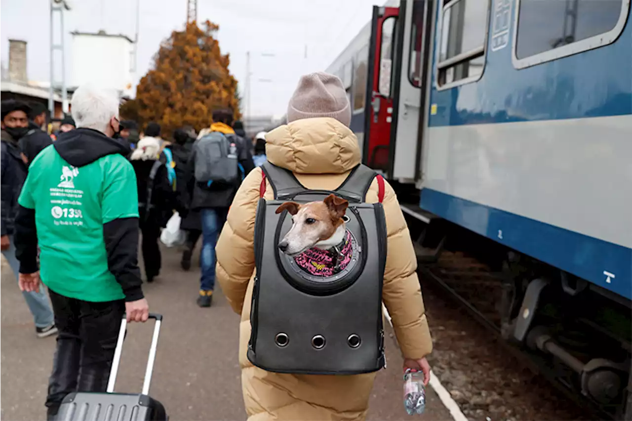 Tide of Ukrainian refugees grows as UN says a million have fled