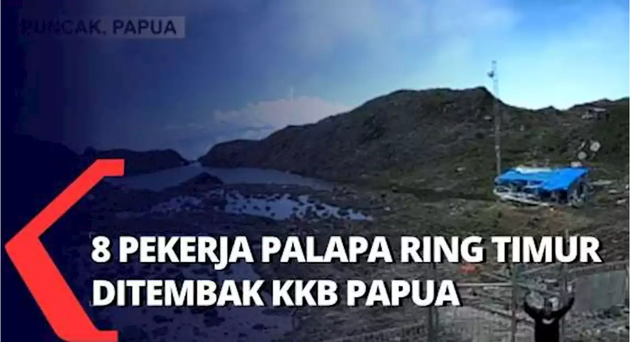 8 Pegawai Palapa Ring Timur Dibunuh KKB Papua saat Perbaiki Tower