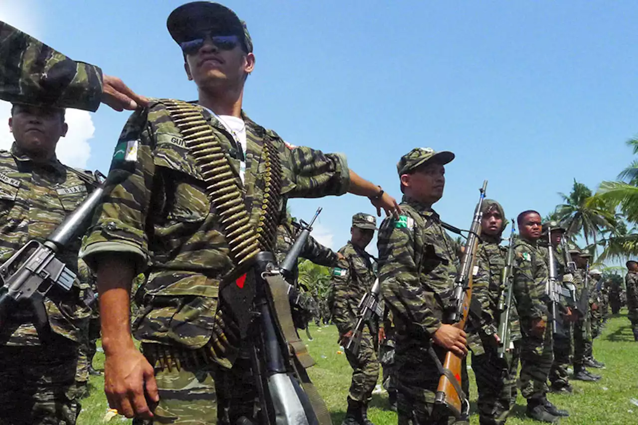 Turning MILF camps into productive ecozones: still much work to be done