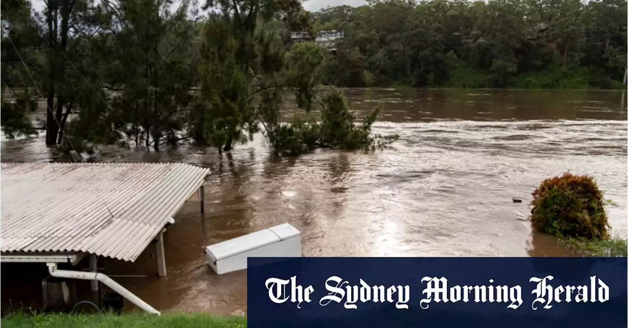 ‘Face reality’: Don’t build in flood prone areas, resilience boss says