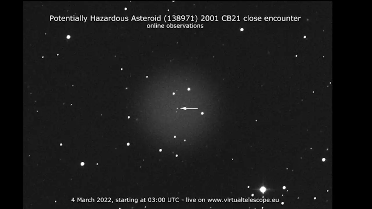 You can watch an asteroid zoom safely by Earth in a live webcast today
