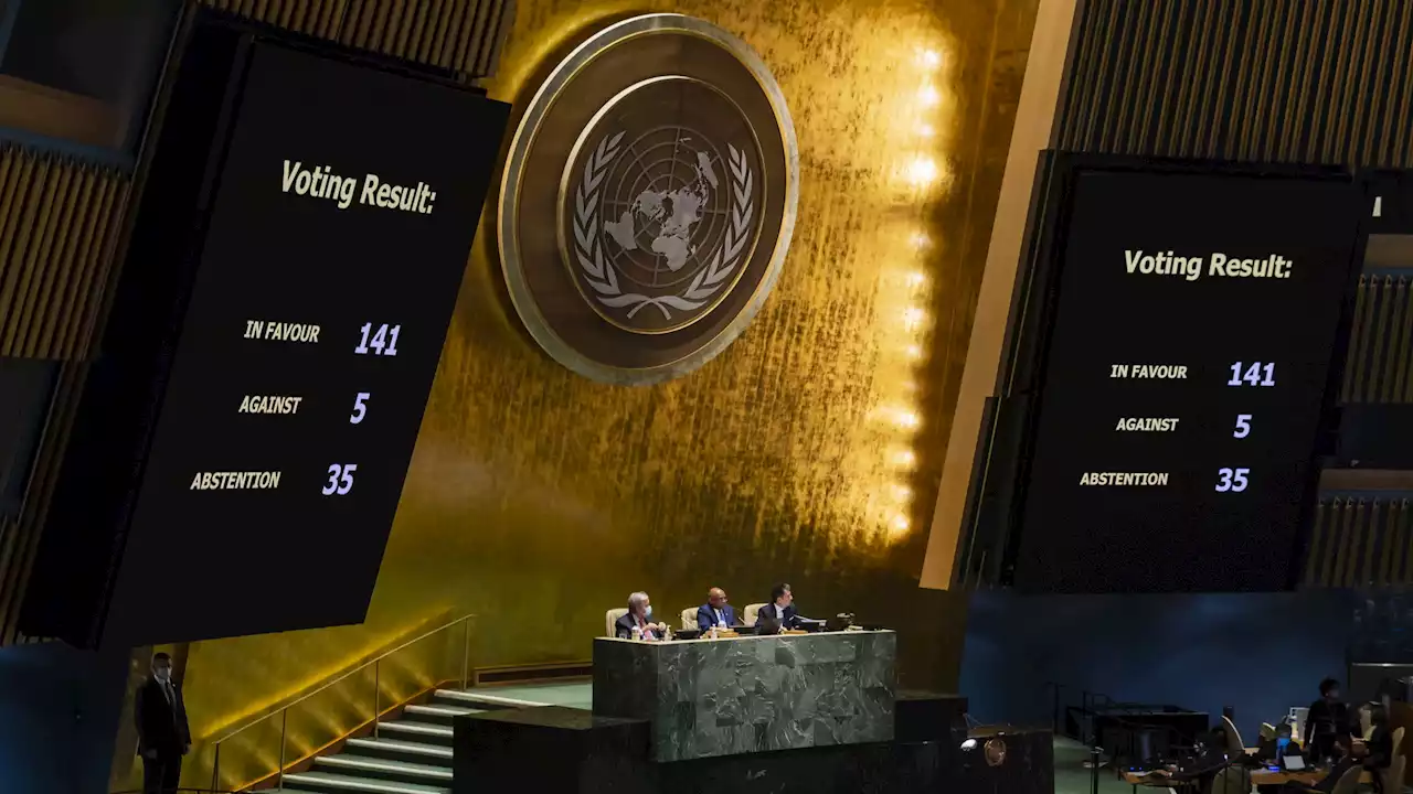 UN-Resolution gegen Russland: 'Ein historisches Ergebnis'