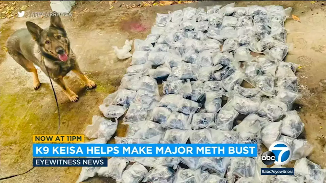 Over 100 pounds of meth, heroin off SoCal streets thanks to help from LAPD K-9 'Keisa'