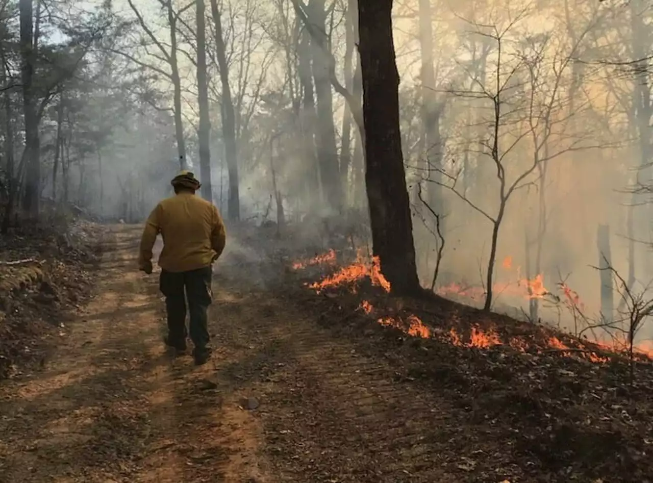 Firefighters rush to contain Shelby County wildfire as high winds approach