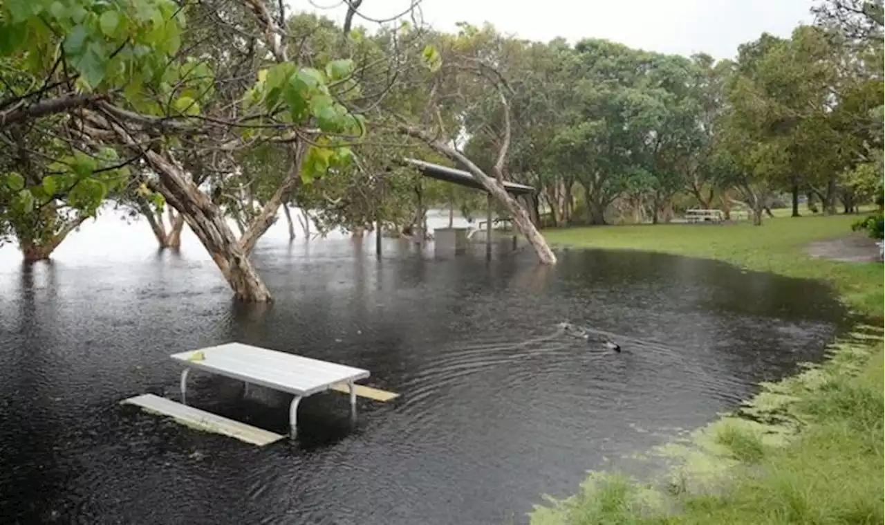 'The warning was wrong' Australians flee as ‘freak’ flooding forces NSW ‘underwater’