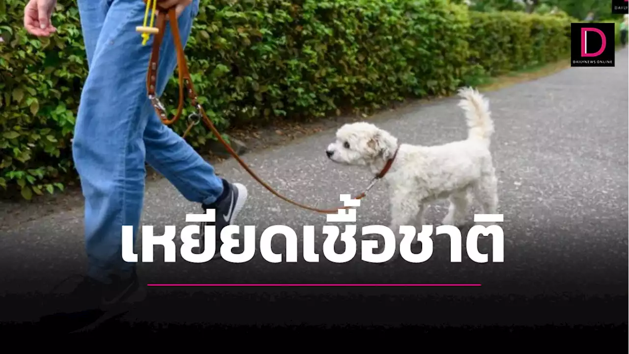 สาวจูงหมาเดินเล่น โดนสาดน้ำกรดใส่ คาดฝีมือพวกเหยียดเชื้อชาติ | เดลินิวส์