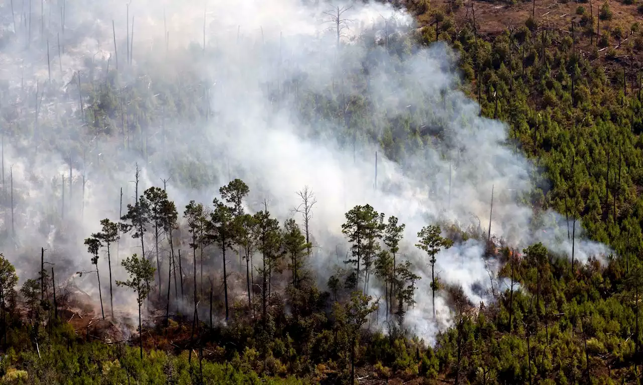 The 10 worst Texas wildfires in state history