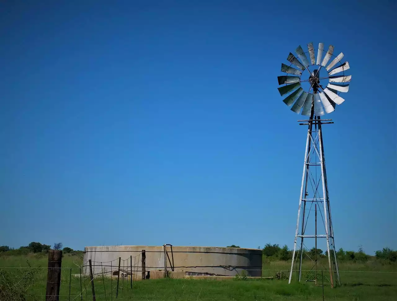 Heavy rains didn't ruin SA's summer crop - but don't expect to pay less | Fin24