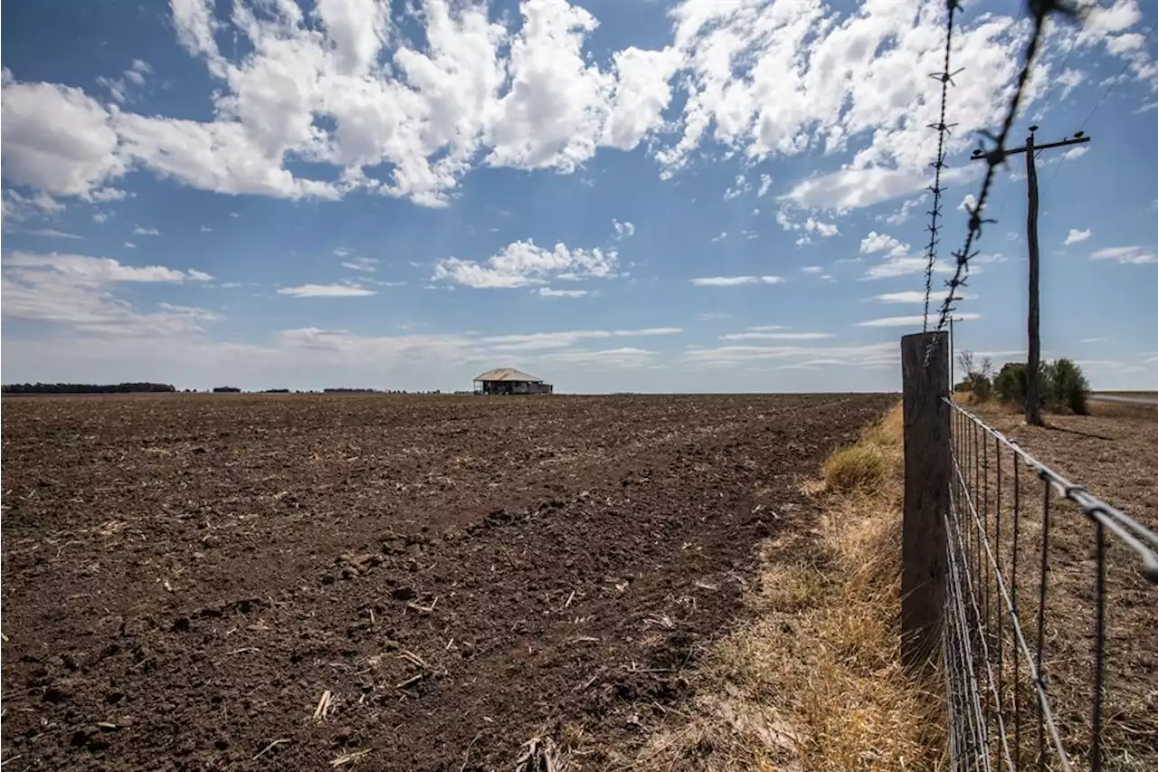 Zimbabwe repossessing unused land from black farmers | Fin24