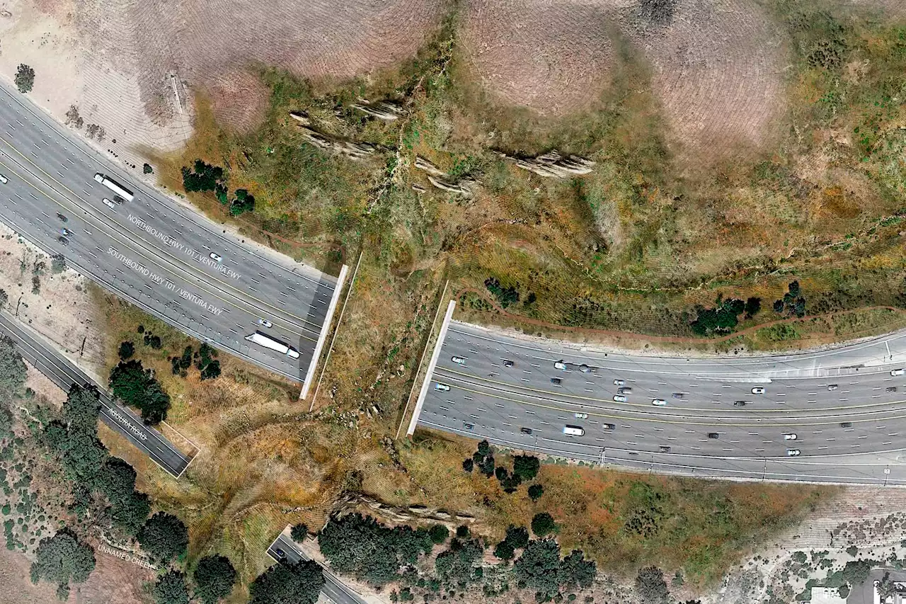 World’s largest wildlife crossing to break ground in California