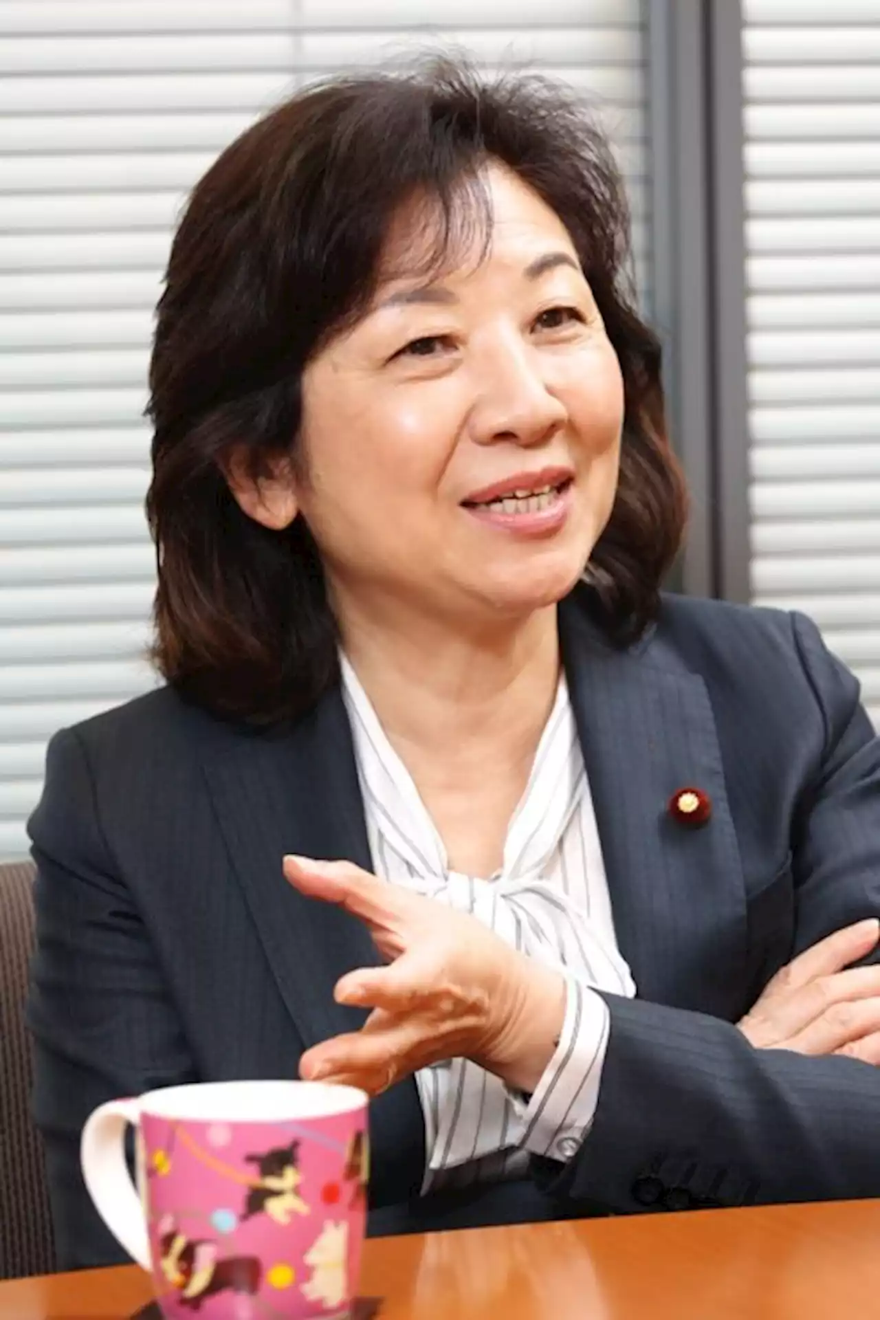 高市氏、小池氏、辻元氏と競わされ…「初の女性総理候補」野田聖子氏の30年 - トピックス｜Infoseekニュース