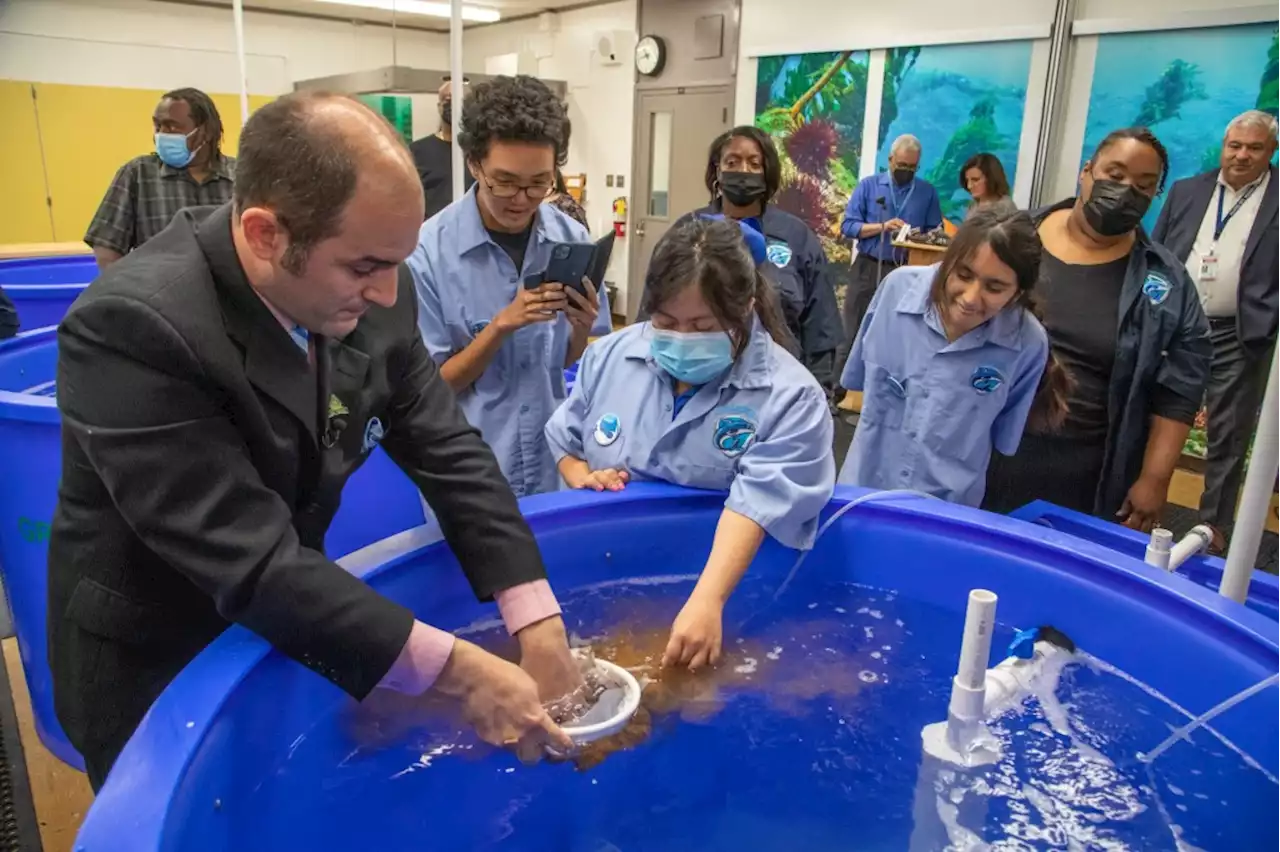 Students with special needs will raise shrimp at this new ‘blue lab’ in San Pedro