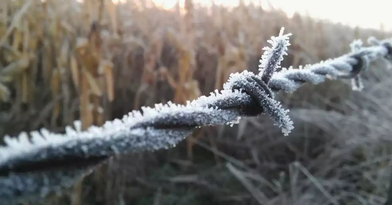 Clima: los primeros fríos llegaron con heladas en la provincia, ¿dónde hubo temperaturas bajo cero? | Agricultura | La Voz del Interior