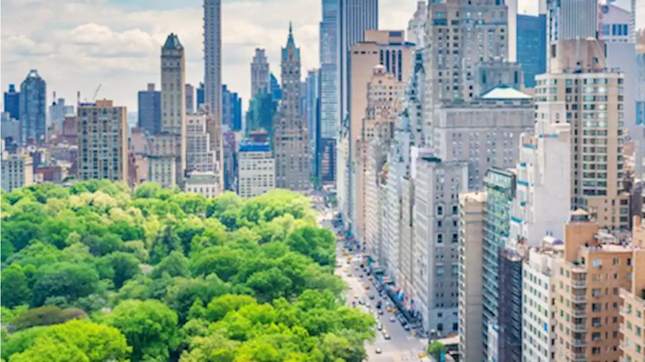 Manhattan real estate sees 50 pc increase in luxury contract activity