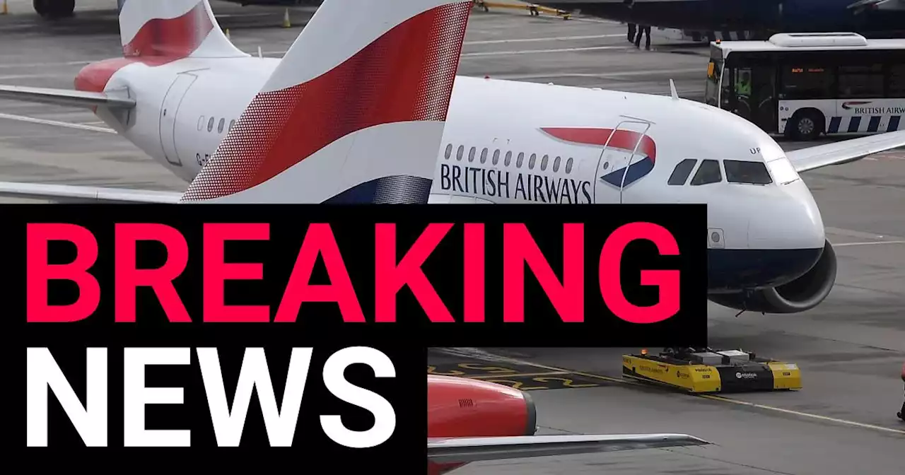 British Airways flights delayed at Heathrow 'after airline's IT systems crash'