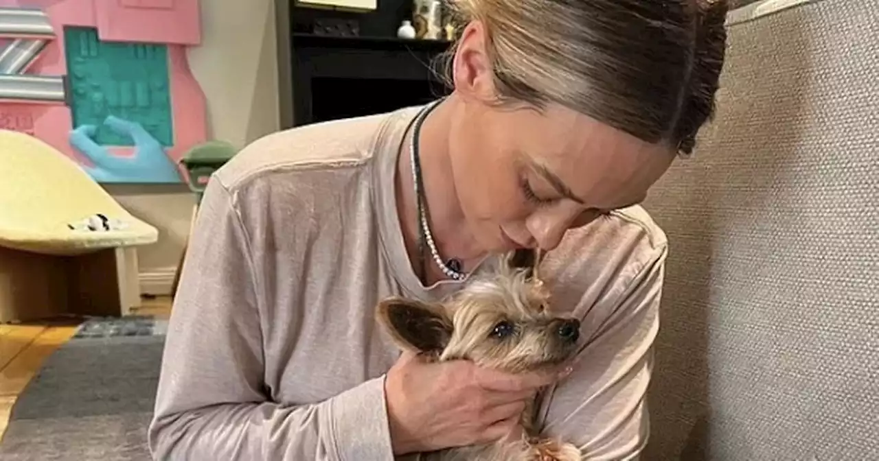 Hilary Duff announces death of her beloved dog Jak with heartfelt tribute