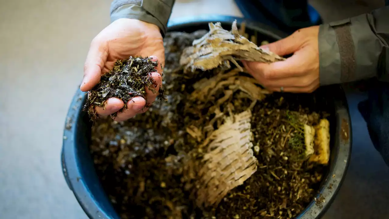 How to compost—and why it’s good for the environment