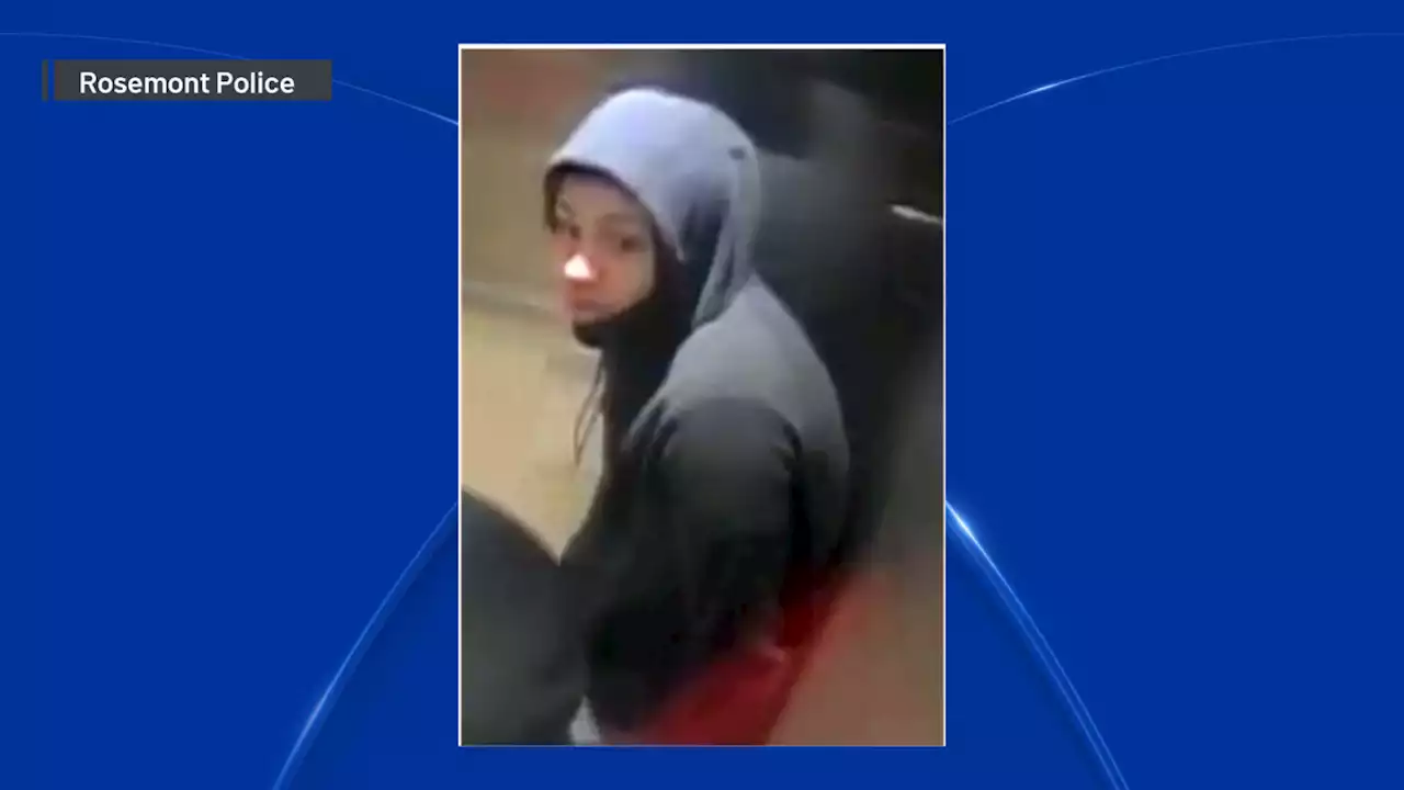 Arrest Warrant Issued for 18-Year-Old in Fatal Rosemont Mall Shooting