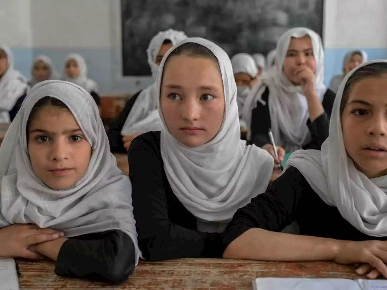 World Bank freezes Afghan projects after Taliban bans girls from high school | News24