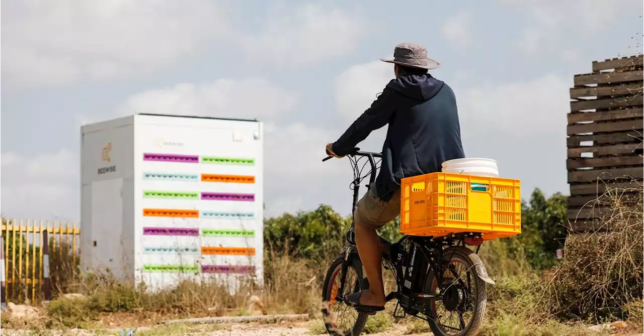 Israeli robotic beehive maker raises $80 mln in private funds