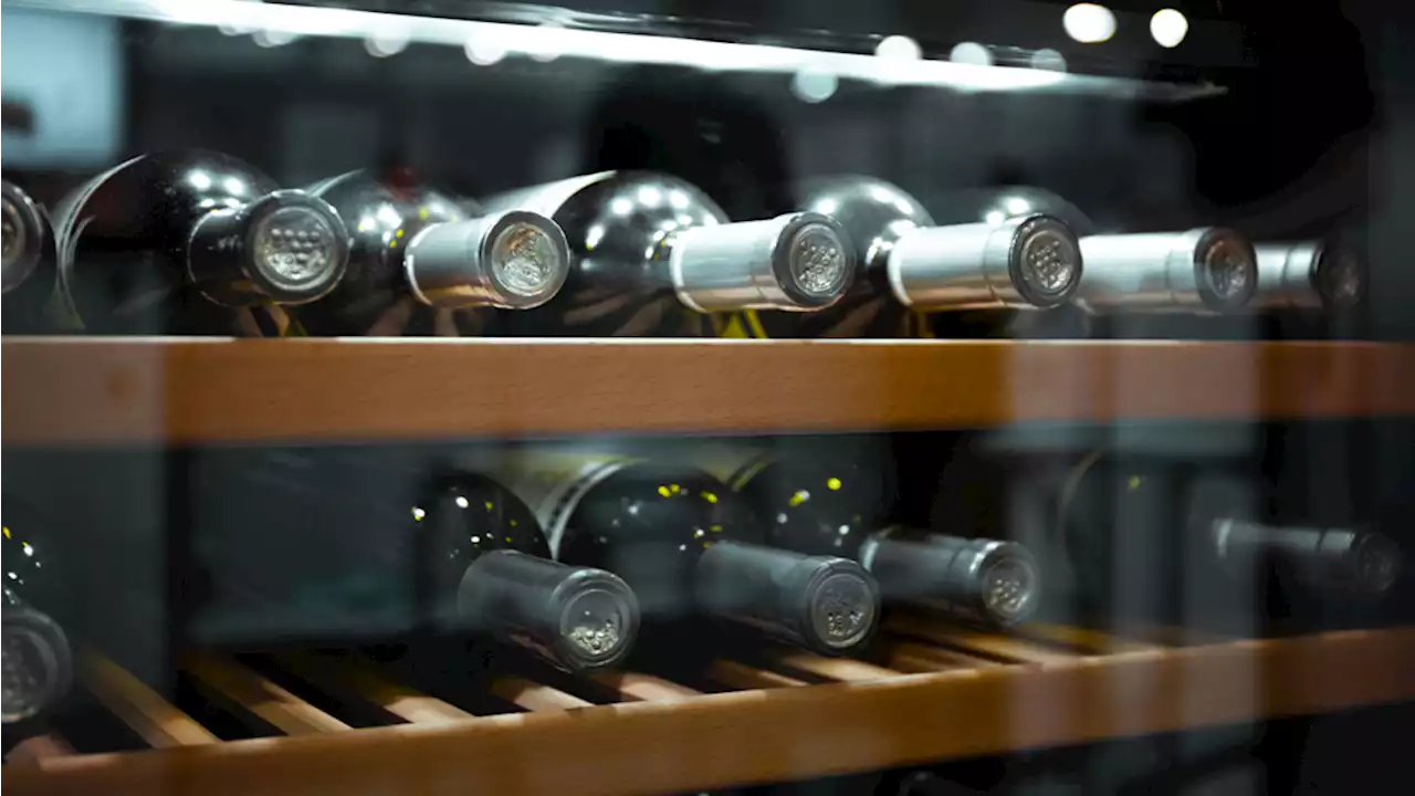 The Ultimate Guide to Starting Your Wine Collection