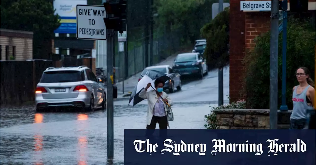 Property values soar in suburbs at risk of coastal erosion