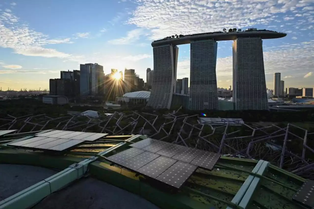Global consultancy BCG launches climate and sustainability hub in Singapore