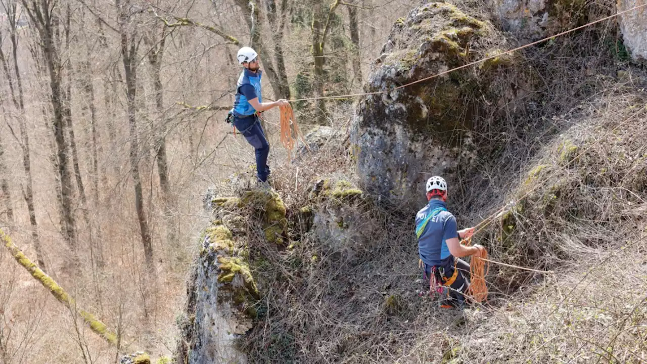 Fall Sonja Engelbrecht: Knochenteile in Wald bei Kipfenberg gefunden